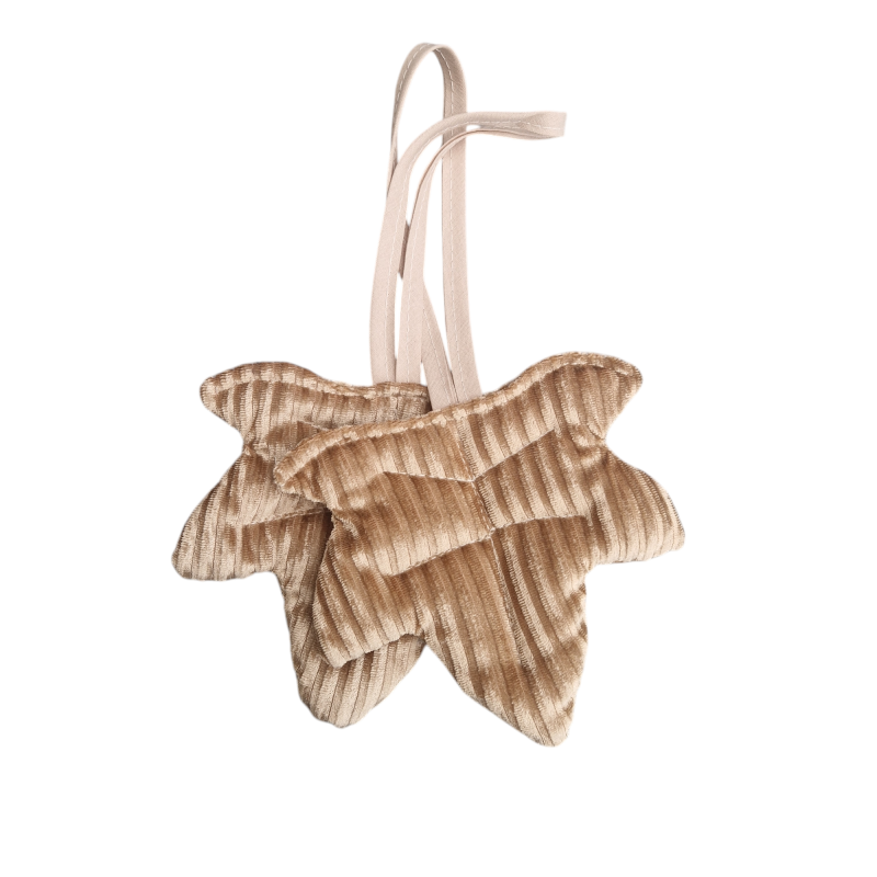 speenkoord/maxi cosi hanger